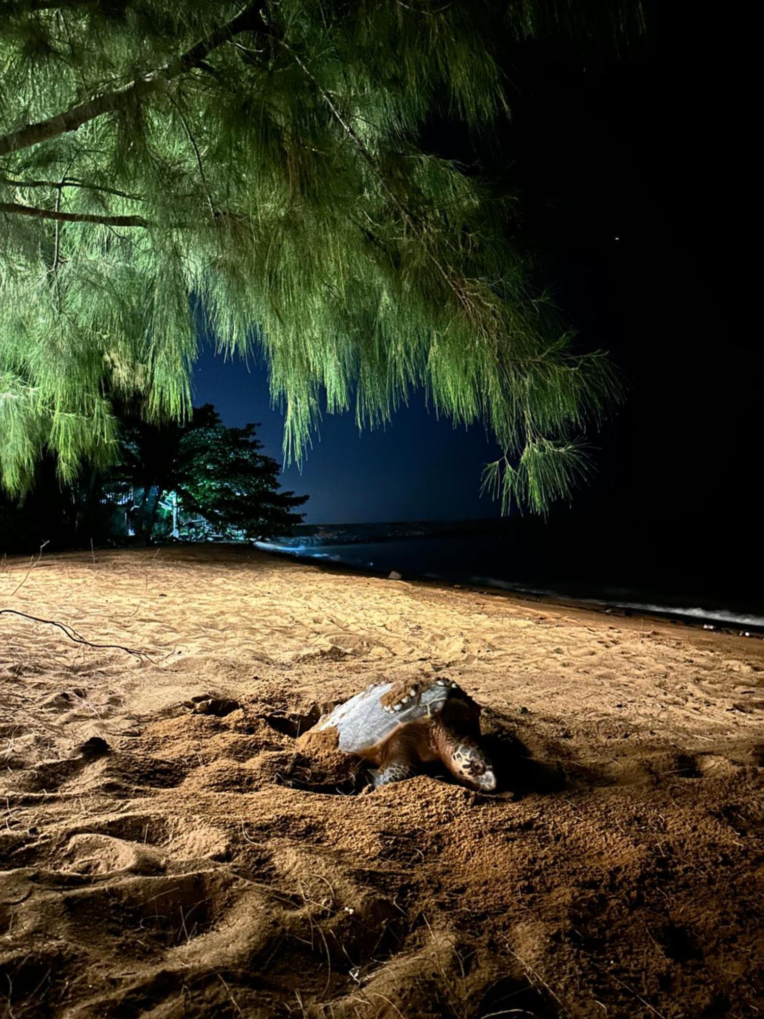 Beach N Breeze Glamping Malacca Eksteriør billede